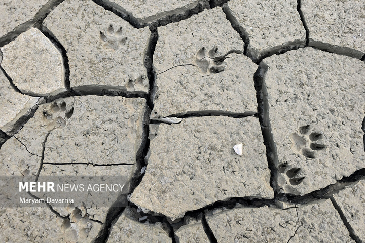 خشکسالی در یک قدمی خراسان شمالی