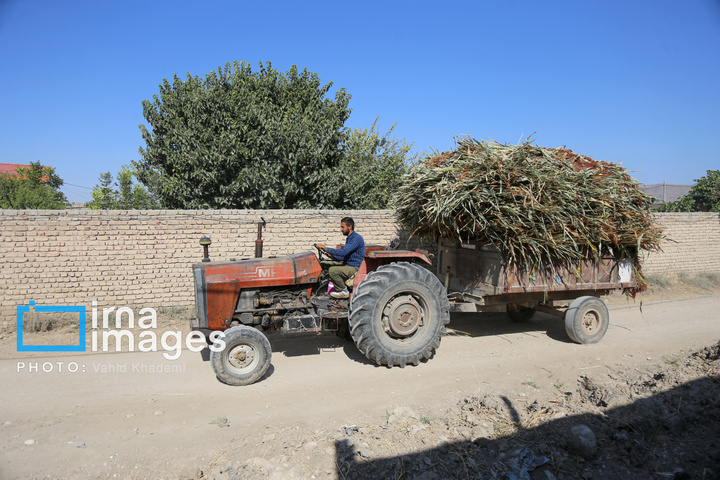 جارو بافی؛ هنری کهن در عصر مدرن