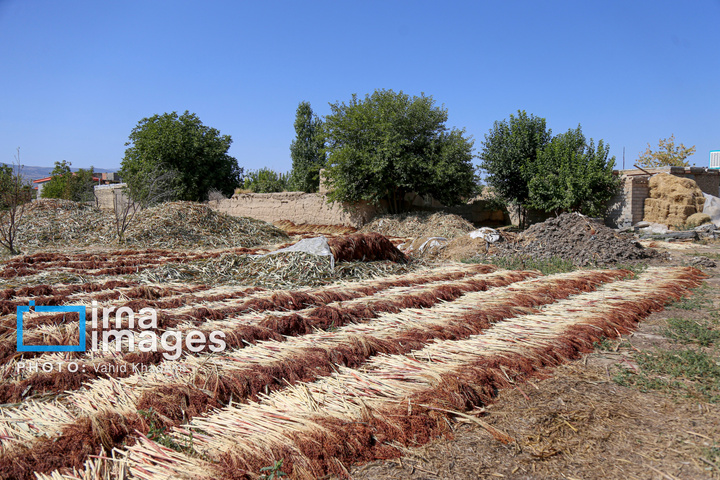 جارو بافی؛ هنری کهن در عصر مدرن