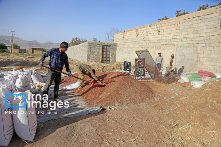 جارو بافی؛ هنری کهن در عصر مدرن