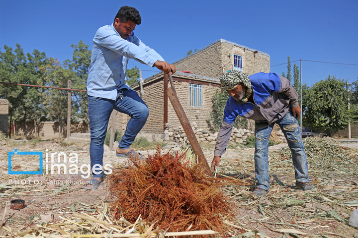 جارو بافی؛ هنری کهن در عصر مدرن