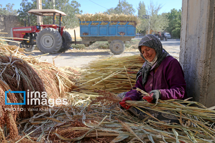 جارو بافی؛ هنری کهن در عصر مدرن