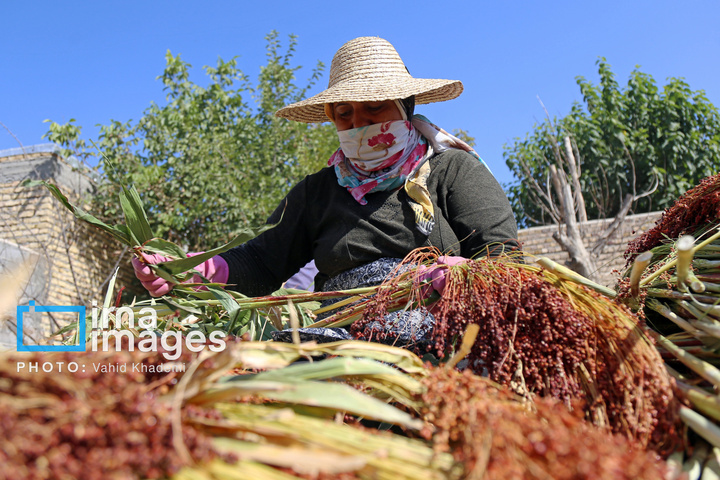 جارو بافی؛ هنری کهن در عصر مدرن