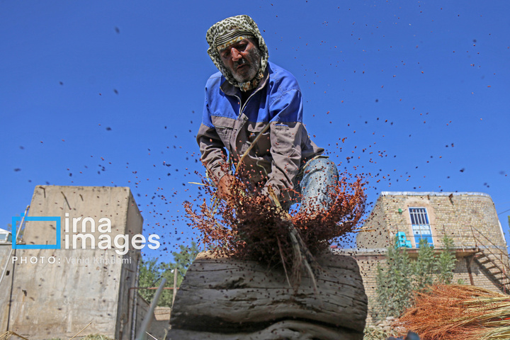 جارو بافی؛ هنری کهن در عصر مدرن