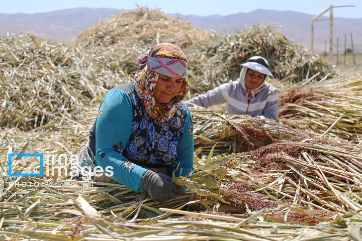 جارو بافی؛ هنری کهن در عصر مدرن