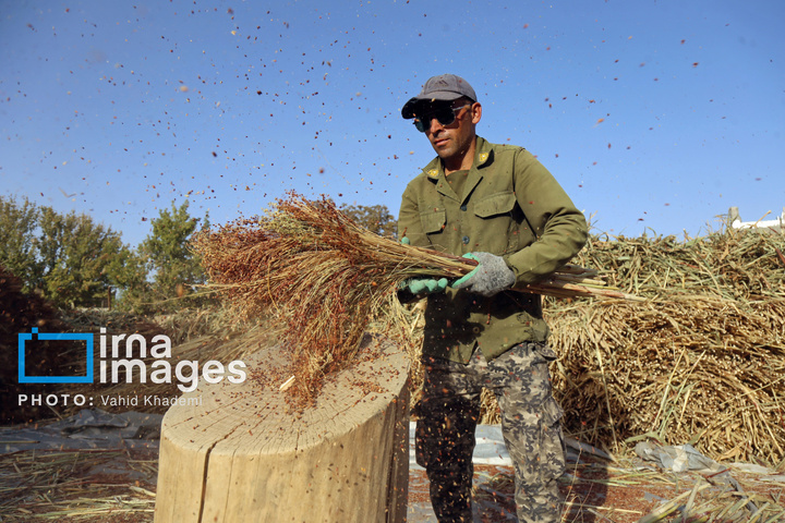 جارو بافی؛ هنری کهن در عصر مدرن