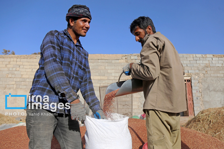 جارو بافی؛ هنری کهن در عصر مدرن