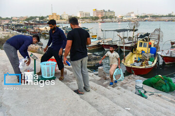 فروش میگو روی لنج