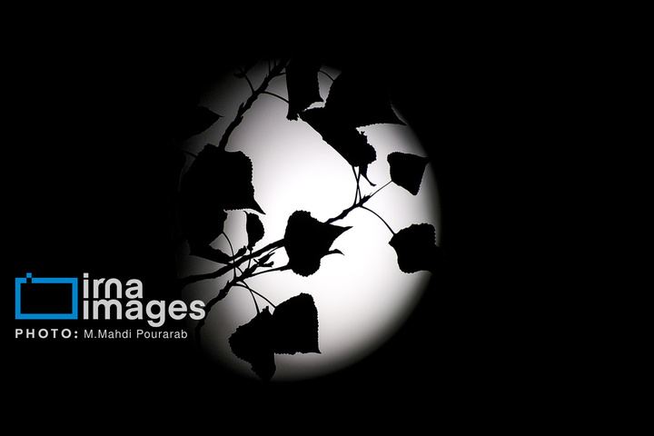 ماه‌گرفتگی در آسمان تهران