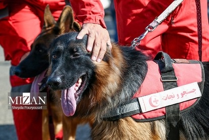 برگزاری رزمایش سگ‌های جستجوی هلال‌احمر در توچال