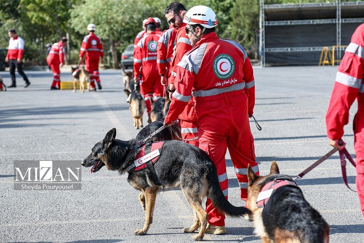 برگزاری رزمایش سگ‌های جستجوی هلال‌احمر در توچال