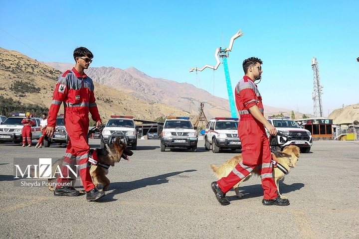 برگزاری رزمایش سگ‌های جستجوی هلال‌احمر در توچال