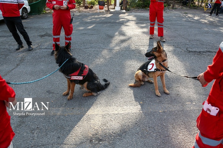 برگزاری رزمایش سگ‌های جستجوی هلال‌احمر در توچال