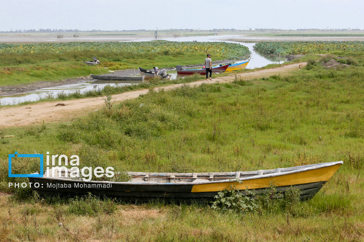 خشکی در کمین تالاب انزلی