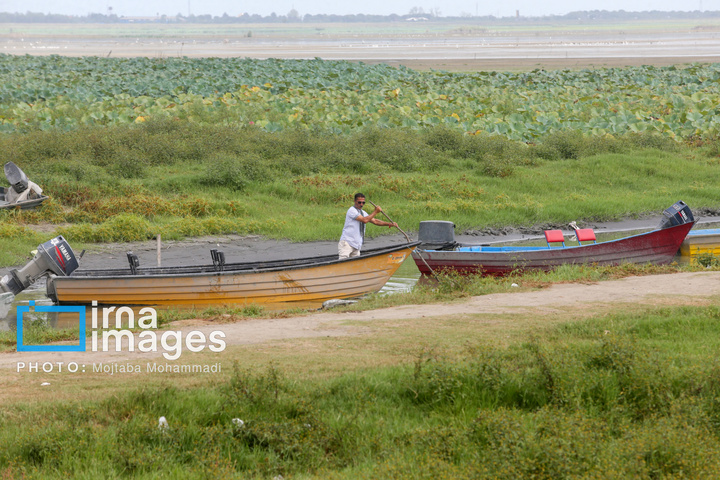 خشکی در کمین تالاب انزلی