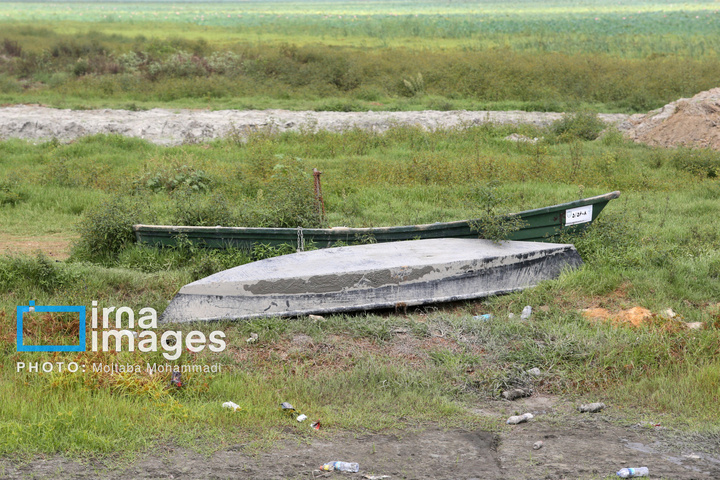 خشکی در کمین تالاب انزلی