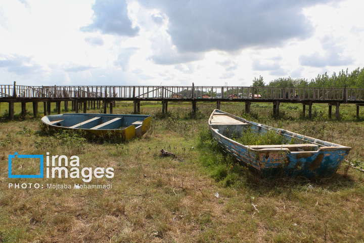 خشکی در کمین تالاب انزلی