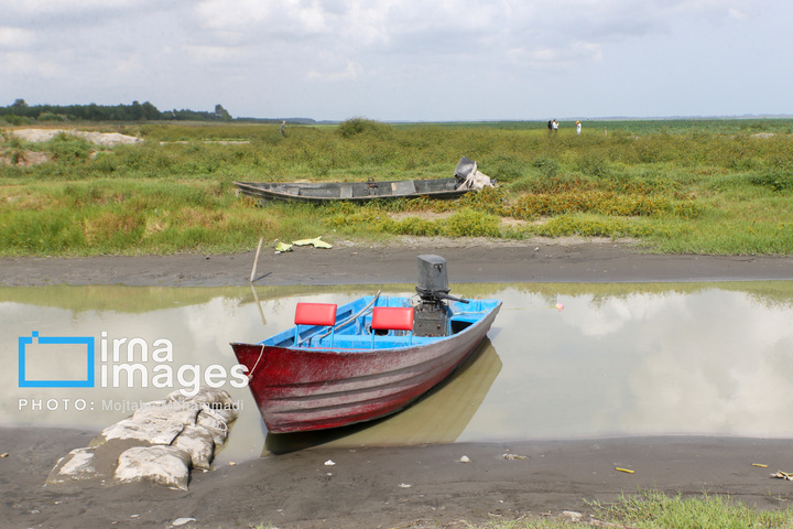 خشکی در کمین تالاب انزلی