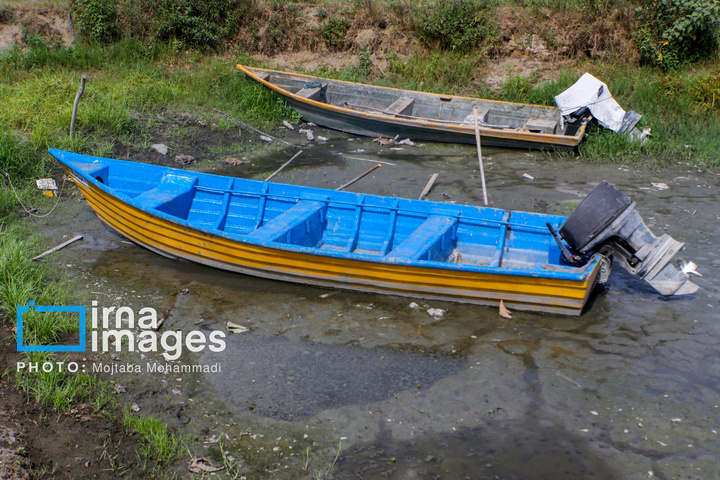 خشکی در کمین تالاب انزلی