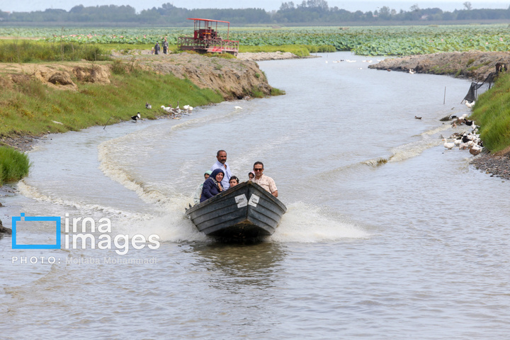 خشکی در کمین تالاب انزلی