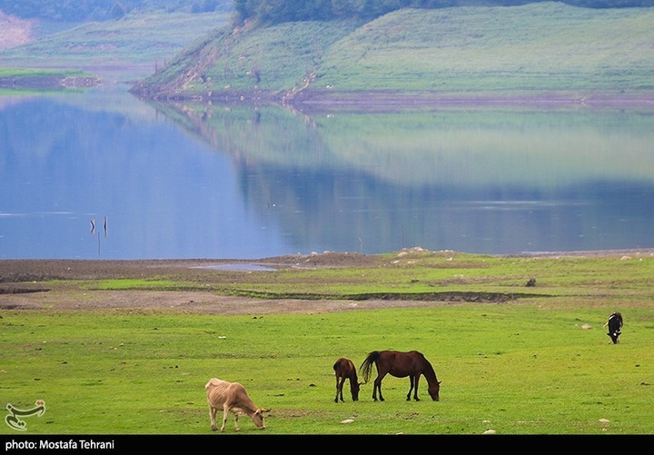 طبیعت سد لفور