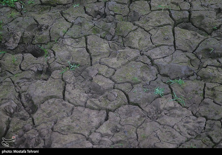 طبیعت سد لفور