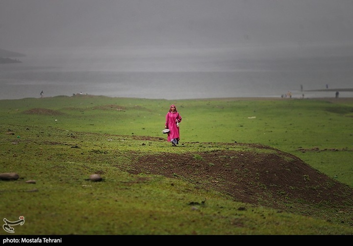 طبیعت سد لفور