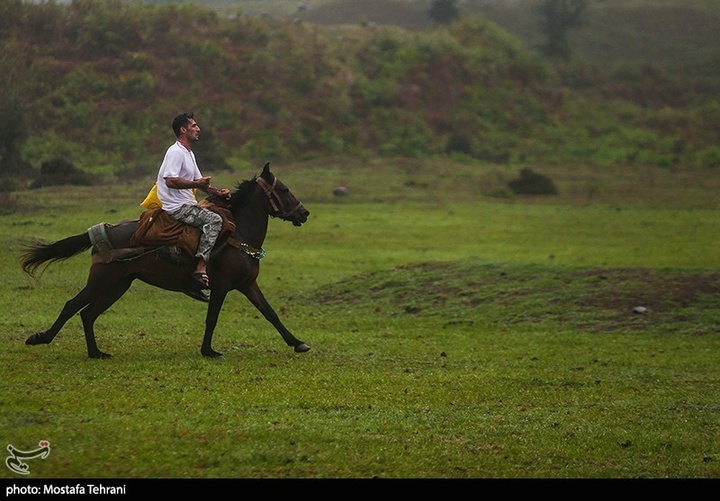 طبیعت سد لفور