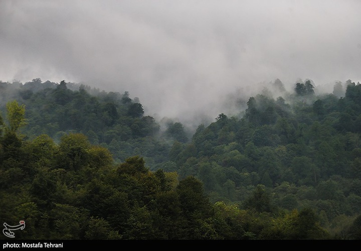 طبیعت سد لفور