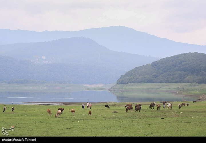 طبیعت سد لفور