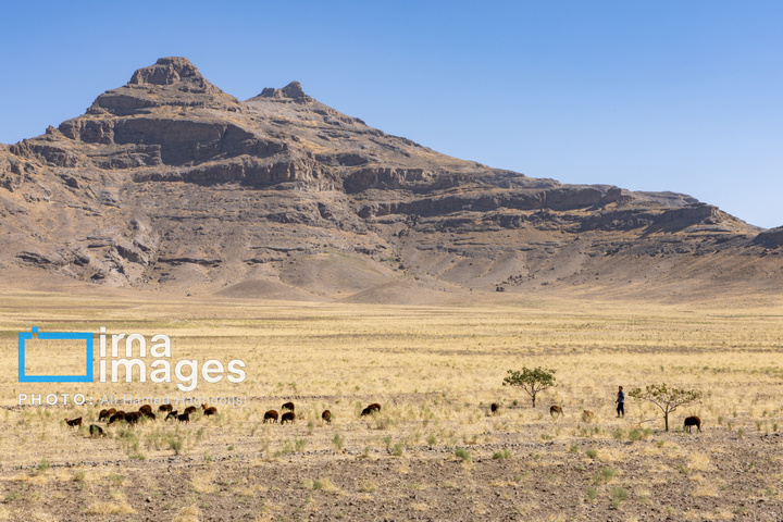 بی آبیِ دریا