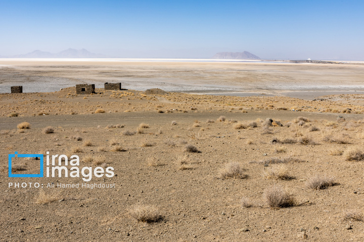 بی آبیِ دریا