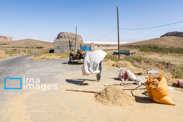 بی آبیِ دریا