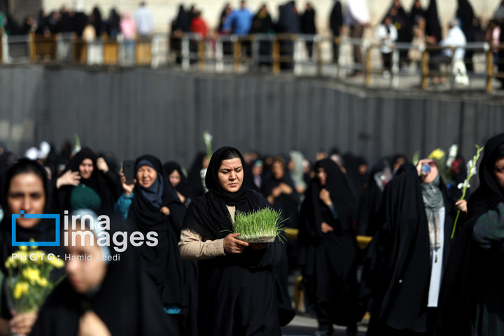 استقبال از کاروان نمادین حضرت معصومه سلام الله علیها