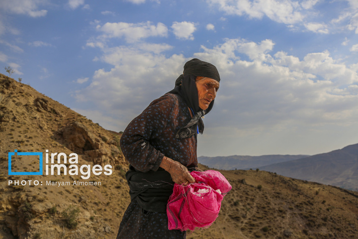 « معدن نمک قلعه رشید »