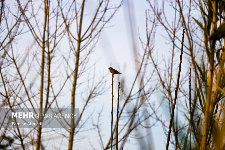 لحظه‌های گم شده