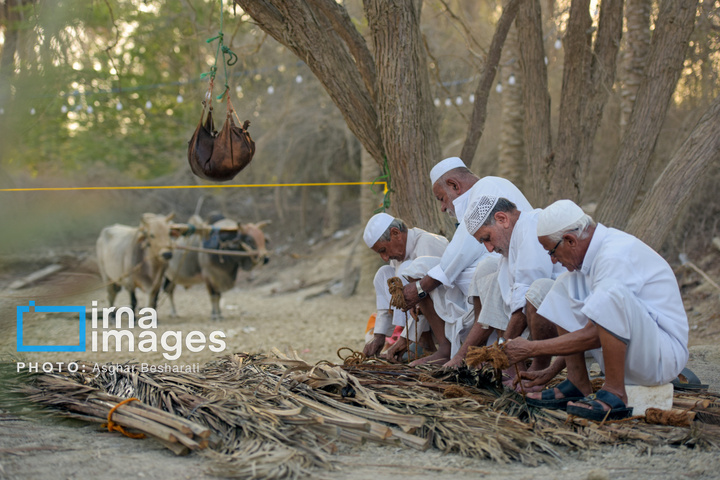 جشنواره «نوروز زراعی» در روستای دیرستان