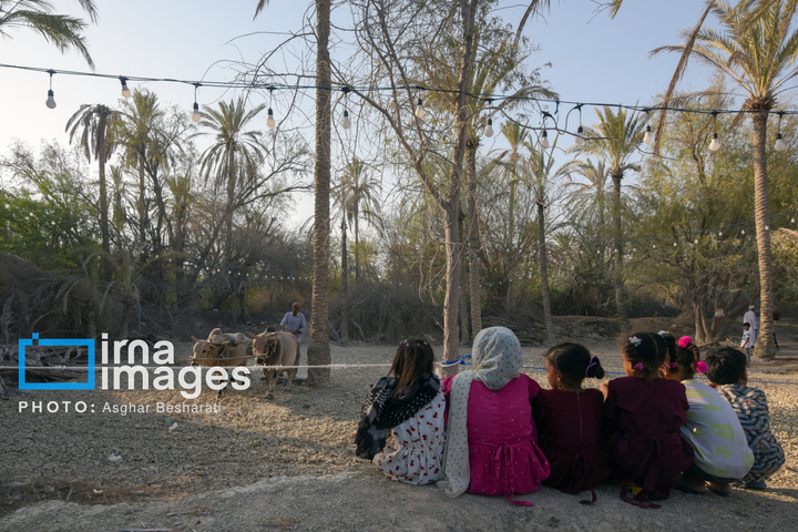 جشنواره «نوروز زراعی» در روستای دیرستان