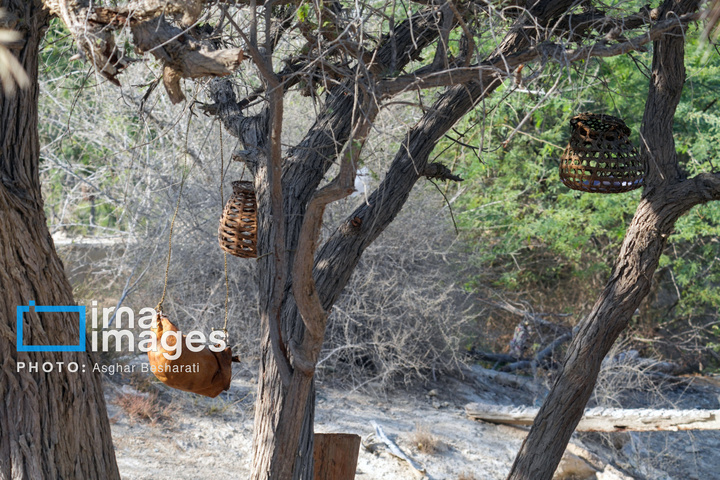 جشنواره «نوروز زراعی» در روستای دیرستان