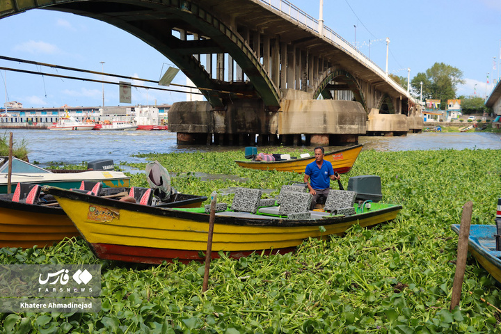 قایق‌سواری در تالاب انزلی