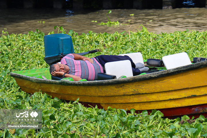 قایق‌سواری در تالاب انزلی