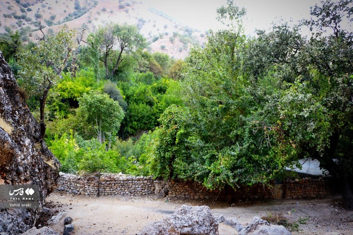 طبیعت بکر خوزستان