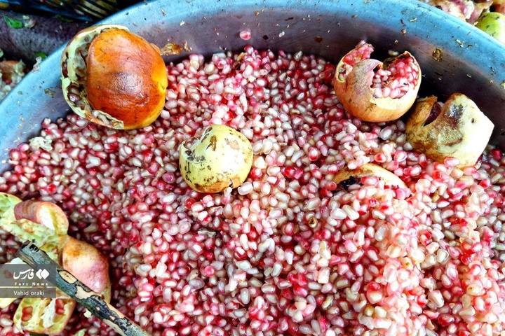 طبیعت بکر خوزستان