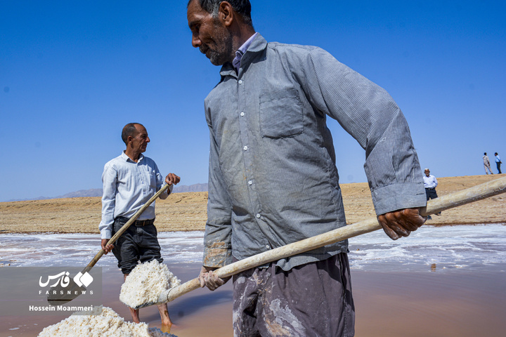 کال‌شور بانمک