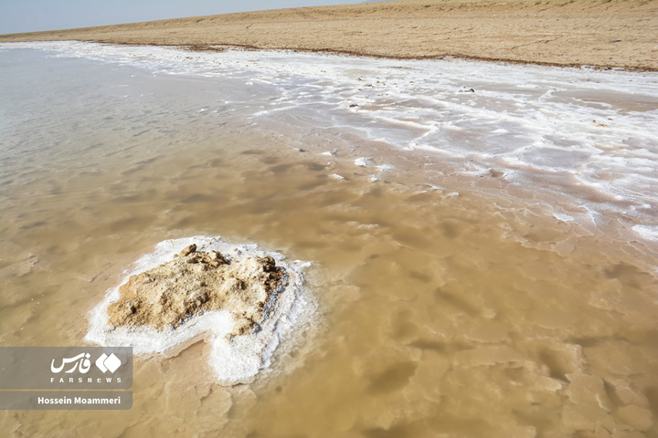 کال‌شور بانمک