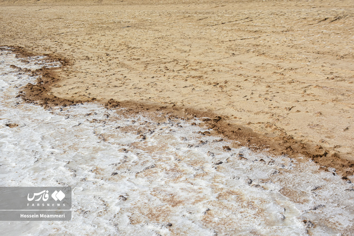 کال‌شور بانمک