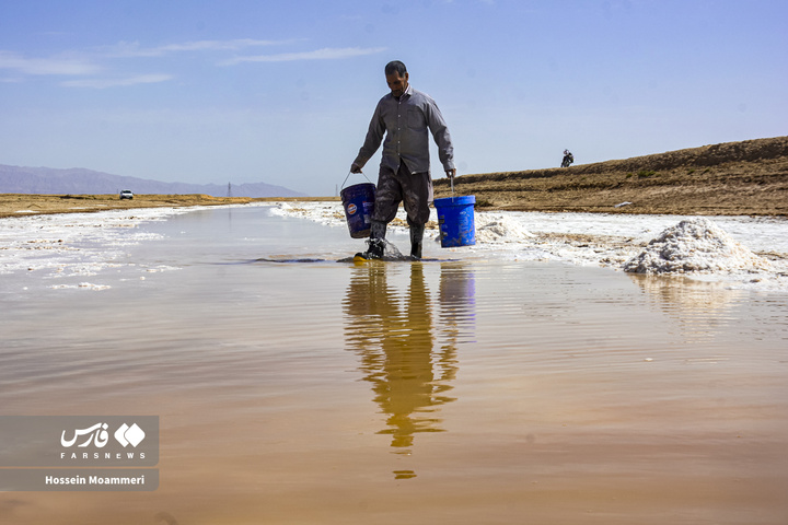 کال‌شور بانمک