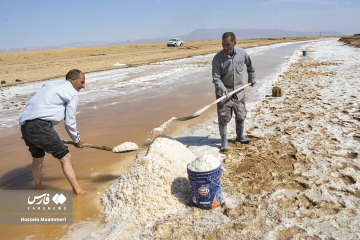 کال‌شور بانمک