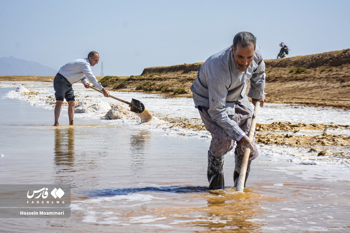 کال‌شور بانمک