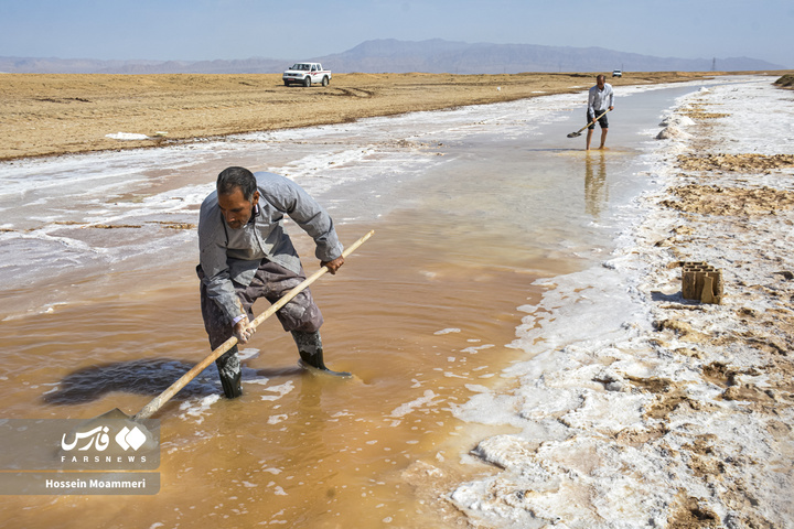 کال‌شور بانمک